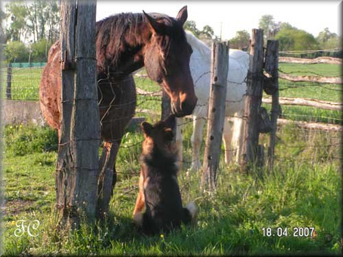 Bouba et son copain