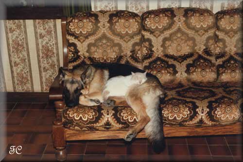 Reagan et Mimiss