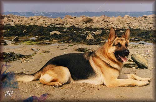 Reagan en Bretagne